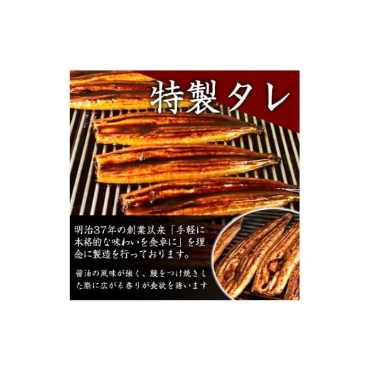 ふるさと納税 鹿児島県 鹿屋市 1633 鹿児島県大隅産うなぎ蒲焼5尾（750ｇ） 国産 本格 うなぎ 鰻 蒲焼（鹿児島）