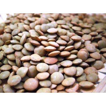 外国産 アメリカ産 レンズ豆（皮つき） 5kg（1kg×5袋）