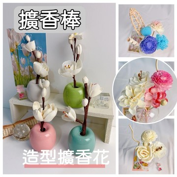 【擴香棒&通草花】揮發棒 擴香棒 無火香薰 精油專用擴香棒 廁所芳香 室內擴香 芳香劑 纖維棒 廁所除臭