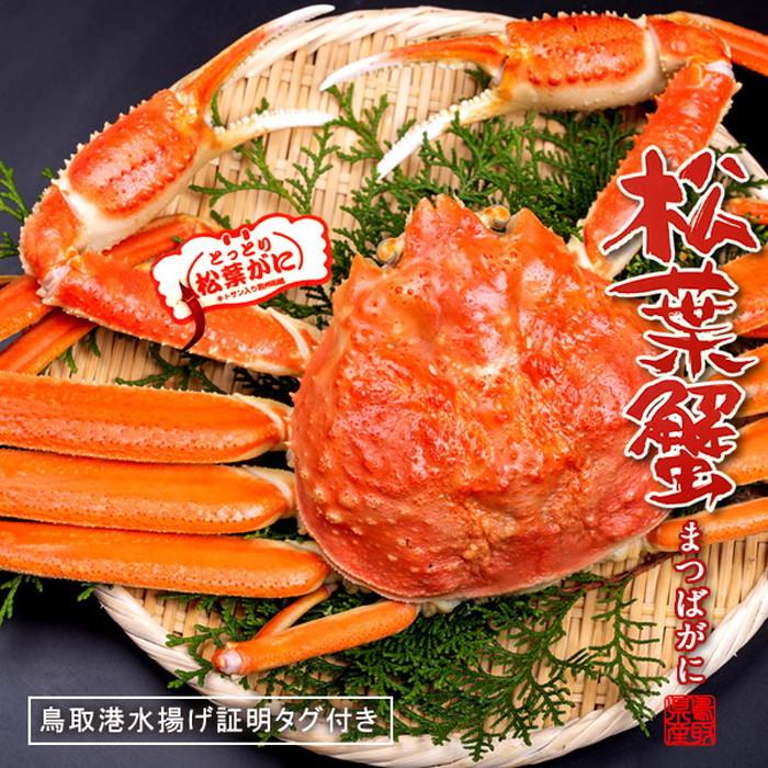 松葉蟹 かに 松葉ガニ 特大800g×2尾セット 浜ゆで 松葉蟹 ゆでがに 鳥取県産 ブランドタグ付きマツバガニ ズワイガニ［お歳暮 2023 ギフト 御歳暮］