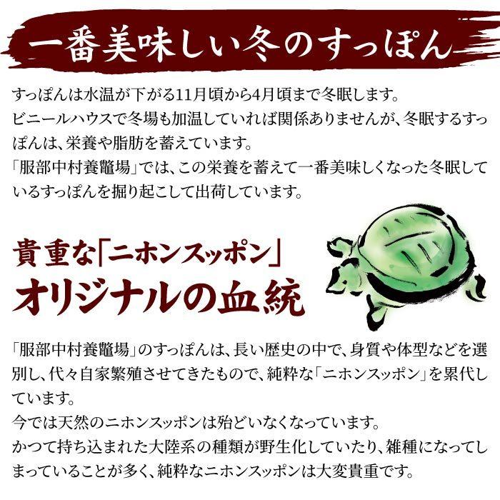 浜名湖の極上すっぽん鍋セット 400g（200g×2袋） 服部中村養鼈場 お歳暮 スッポン 服部もの 服部中村養べつ場 切り身 すっぽん料理 鍋 すっぽん鍋