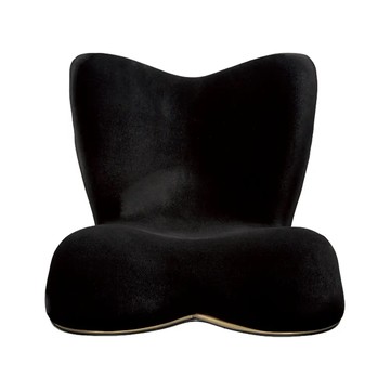 【恆隆行】STYLE 健康護脊椅墊_頂級款