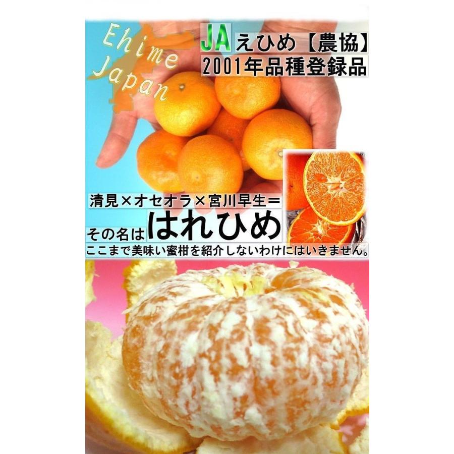 産地直送 はれひめ 約5kg L〜3Lサイズ 愛媛県産 訳あり品 オレンジの香りに蜜柑の味わい！愛媛直送の新鮮なタンゴール