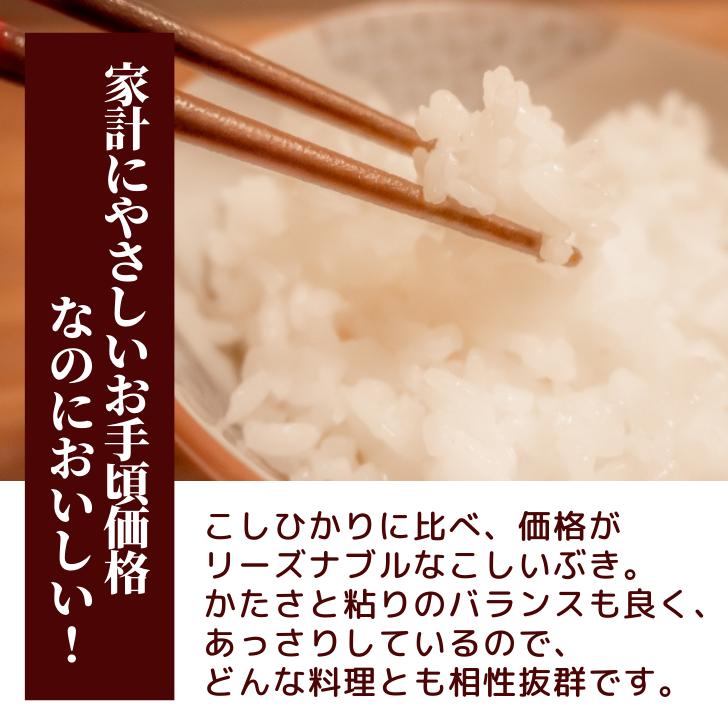 新米 5年産 新潟産 こしいぶき 10kg 5kg×2袋 受注精米 お歳暮 冷めてもおいしい 新潟県産 米 白米 精米 減農薬 農家 直送 生産者 備蓄 ギフト 内祝