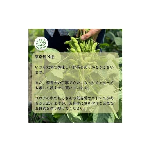 ふるさと納税 高知県 香美市 「定期便」野菜詰め合わせセット3ヵ月