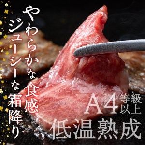 おおいた和牛 カルビ 焼肉 (300g) 国産 牛肉 肉 霜降り 低温熟成 A4 和牛 ブランド牛 BBQ 冷凍 大分県 佐伯市