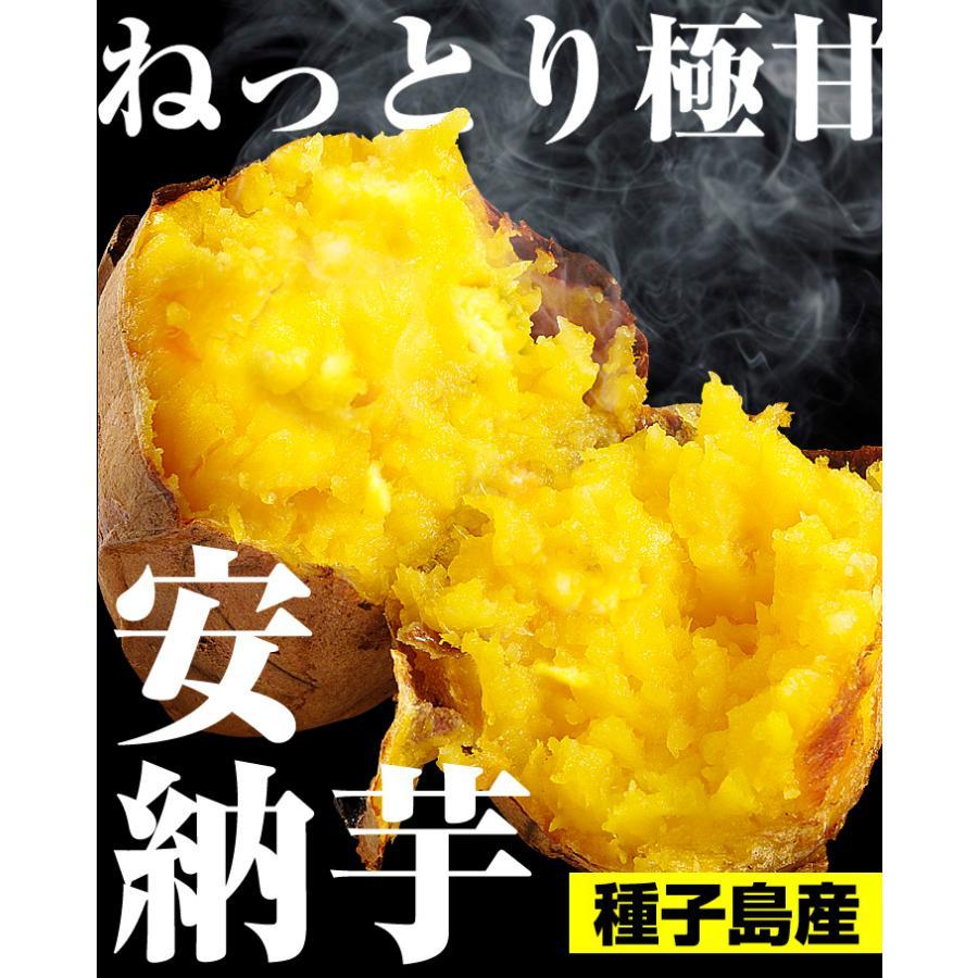 さつまいも 3kg 安納芋・極ちび 種子島産 ご家庭用 送料無料 食品