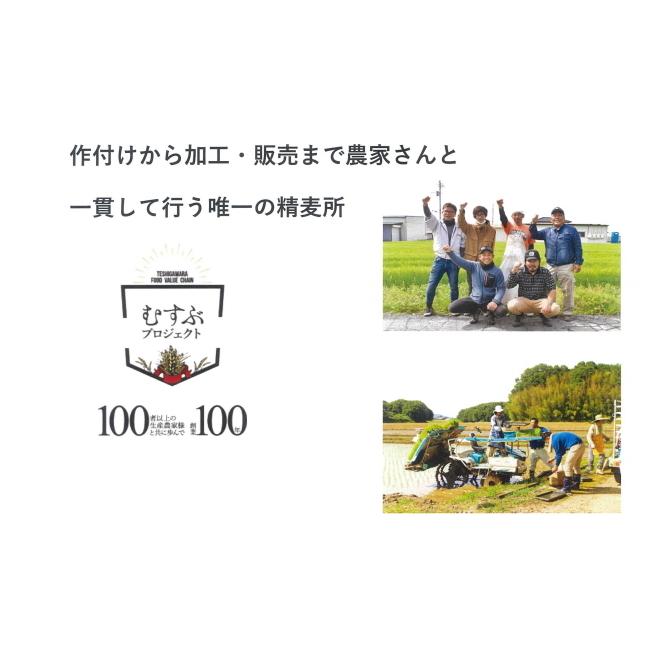 栃木県産もち麦 もち絹香 500g×10個セット もち麦 雑穀 ダイエット 国産 もち麦ご飯 もち麦ごはん もちむぎ 日本製 国産もち麦 プレゼント ギフト