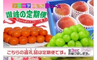  フルーツ セット 定期便 桃 約2kg  シャインマスカット 1房 約600g以上  みかん 5kg × 3ヶ月 ｜産直あきんど 坂出産 創業100年