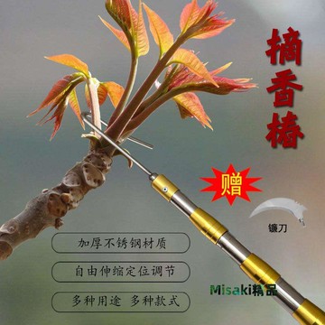 摘水果神器高空高枝摘果伸縮桿加長采摘柿子桃子6米香椿鉤槐花刀-Misaki精品