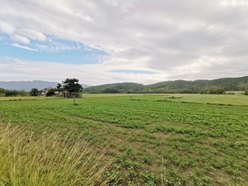 滿州#小墾丁旁渡假休憩臨路超值美農地｜屏東縣滿州鄉滿林段