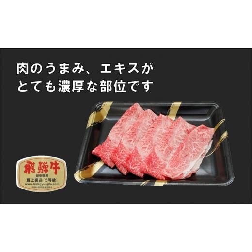 ふるさと納税 岐阜県 池田町 飛騨牛 牛肉 すき焼き しゃぶしゃぶ 肩肉 (ウデ) スライス 500g×2 計 1kg A5 和牛