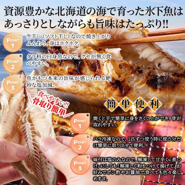 ギフト対応可商品 生干し 氷下魚 こまい 1kg　本場北海道の味 販売元より直送