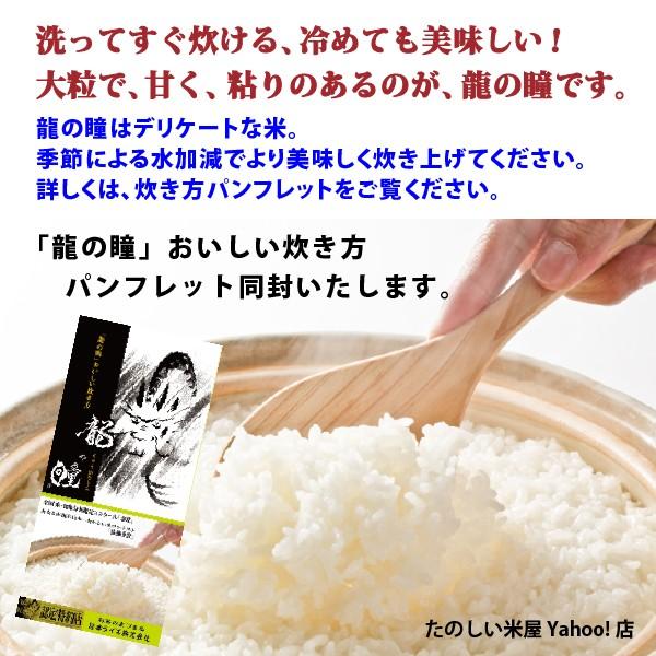 新米 龍の瞳 5kg　岐阜県産 令和5年産米　白米　ご注文後に精米・発送 送料無料（一部地域加算送料）