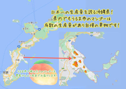 徳田さんの最高級贈答用マンゴー　中玉3個　　アップルマンゴー　贈答用　最高級　美しい　美味　沖縄県産