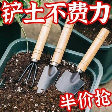 園藝工具三件組 多肉植物工具 種植工具 種花種菜小型工具 鏟子鐵鍬鐵鏟【OZOO HOME】新品熱賣👍園藝大三件套盆栽小