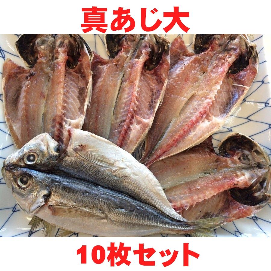 真あじ干物 大10枚セット　脂もしっかり乗っています