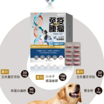 犬貓腫瘤照護褐藻糖膠 提升免疫力特殊養營養補給 高齡犬貓老年虛弱 體力補給 專利小分子褐藻糖膠 五色靈芝 葡聚醣 鬱金粉