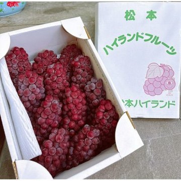 日本 長野 松本 珍珠葡萄｜日本進口水果	一房/ 180g+-10%