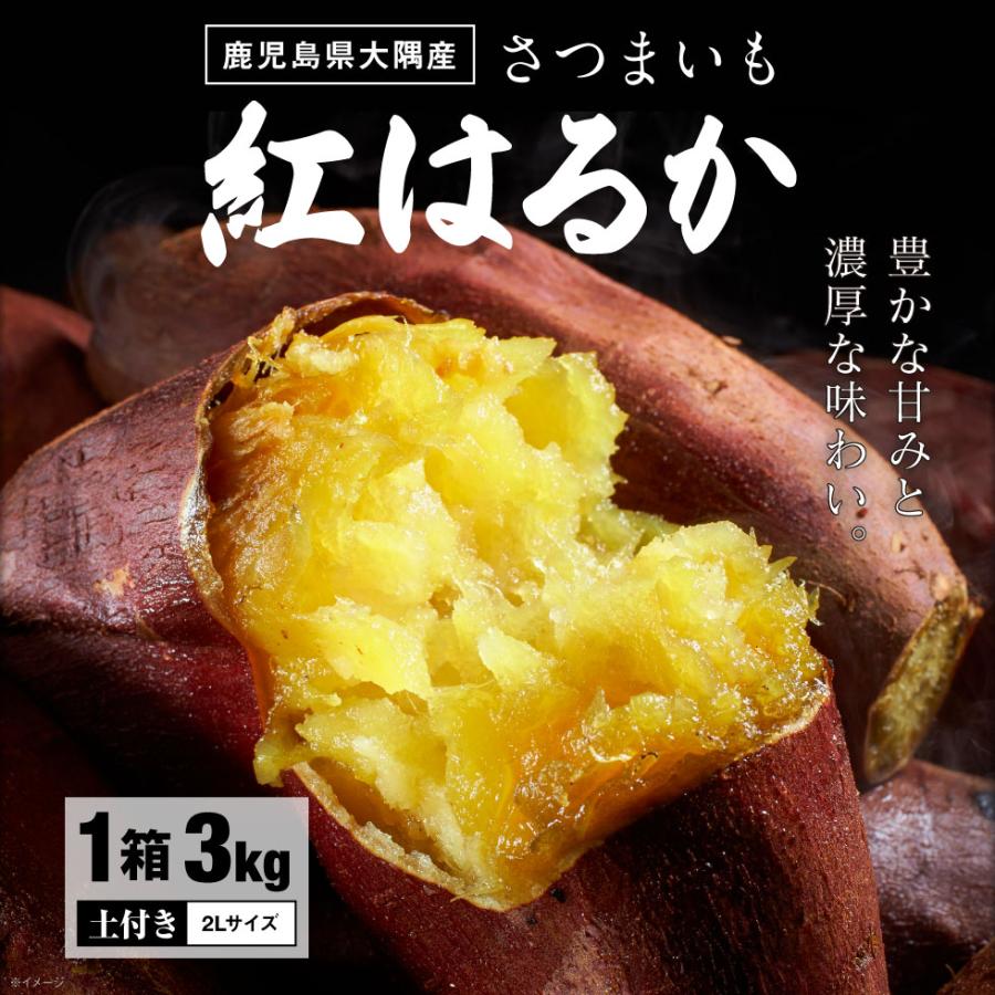 (P2倍) (終売間近) さつまいも 紅はるか 鹿児島 取り寄せ 生芋 3kg 1箱 2L 土付き 箱買い べにはるか 送料無料 美味しい 鹿児島県 大隅産 生 サツマイモ 焼き芋