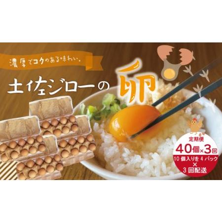 ふるさと納税 21-1015．濃厚でコクのある味わい！のびのび育った土佐ジローの自然卵40個（10個入り×4パック） 高知県四万十市