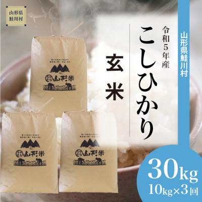 ふるさと納税 鮭川村  コシヒカリ定期便 30kg(10kg×3回お届け)山形県 鮭川村