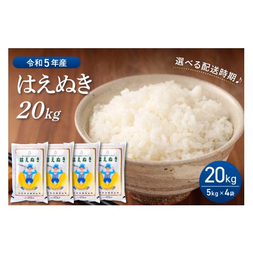 ふるさと納税 山形県 河北町 2024年8月後半発送 はえぬき20kg（5kg×4袋） 山形県産