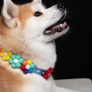 柴犬彩虹花朵項圈寵物飾品貓狗柯基大型犬金毛拍照花花脖圈項鏈