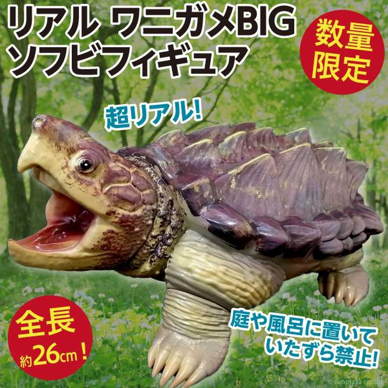 リアル ワニガメBIG ソフビフィギュア/約26cm 鰐亀 ソフビ人形 新品 | LINEブランドカタログ