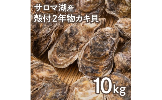 海のミルクサロマ湖産殻付2年物カキ貝 10kg 80～100個入 海鮮 魚介類 貝 お歳暮 お祝い BBQ