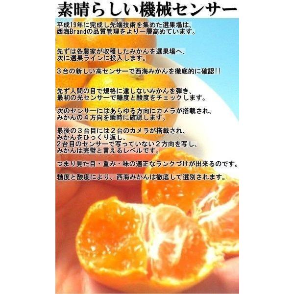 極早生 味まる蜜柑 約2.5kg M〜2Lサイズ 長崎県産 贈答規格 JAながさき西海 糖度保証で安定した甘さ！爽やかな風味の西海ブランドみかん