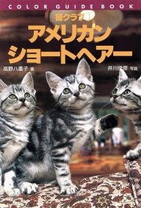  猫クラブ　アメリカン・ショートヘアー カラー・ガイド・ブック猫クラブ／高野八重子(著者),井川俊彦