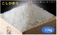 四街道産 コシヒカリ 10kg 玄米   お米 こしひかり