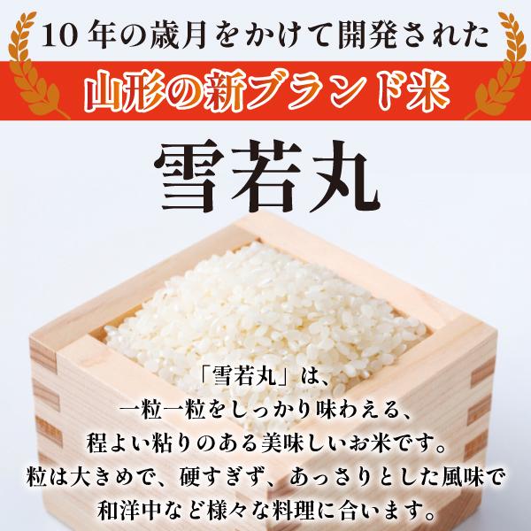 選べる精米方法 ＜白米はたは無洗米＞ 令和5年産 雪若丸20kg（5kg×4袋）山形県最上地域産 《送料無料》