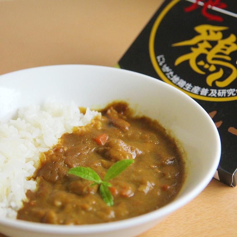 越後特産カレー 3種バラエティセット（にいがた地鶏カレー×2、村上牛カレー×2、うんめ豚カレー×2、粒選米（3合）×2）鳥梅 送料無料