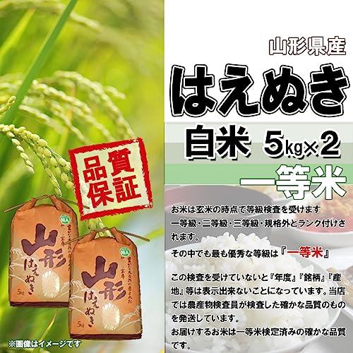 成澤農園 令和5年産 新米 山形県産 はえぬき 白米 10 kg kg×2