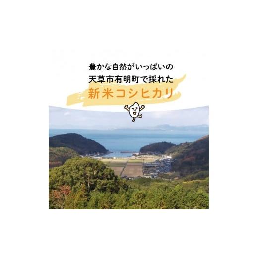 ふるさと納税 熊本県 天草市 S108-004_熊本県天草産　天草の大地の恵み　新米コシヒカリ12kg〈令和5年産〉