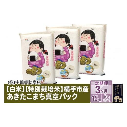 ふるさと納税 秋田県 横手市 《定期便3ヶ月》令和4年産 秋田県横手産特別栽培米あきたこまち 真空パック 15kg(5kg×3袋)×3回 計45kg