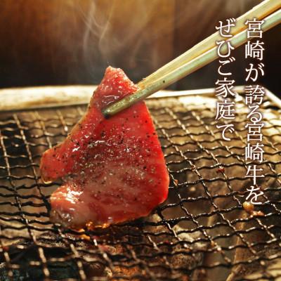 ふるさと納税 日之影町 宮崎牛焼肉セット450g(バラ・モモ・肩 各150g)(日之影町)