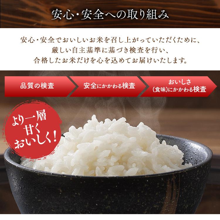 米 2kg 送料無料 新潟県産こしひかり 令和5年度産  生鮮米 低温製法米 お米 白米 一人暮らし アイリスオーヤマ