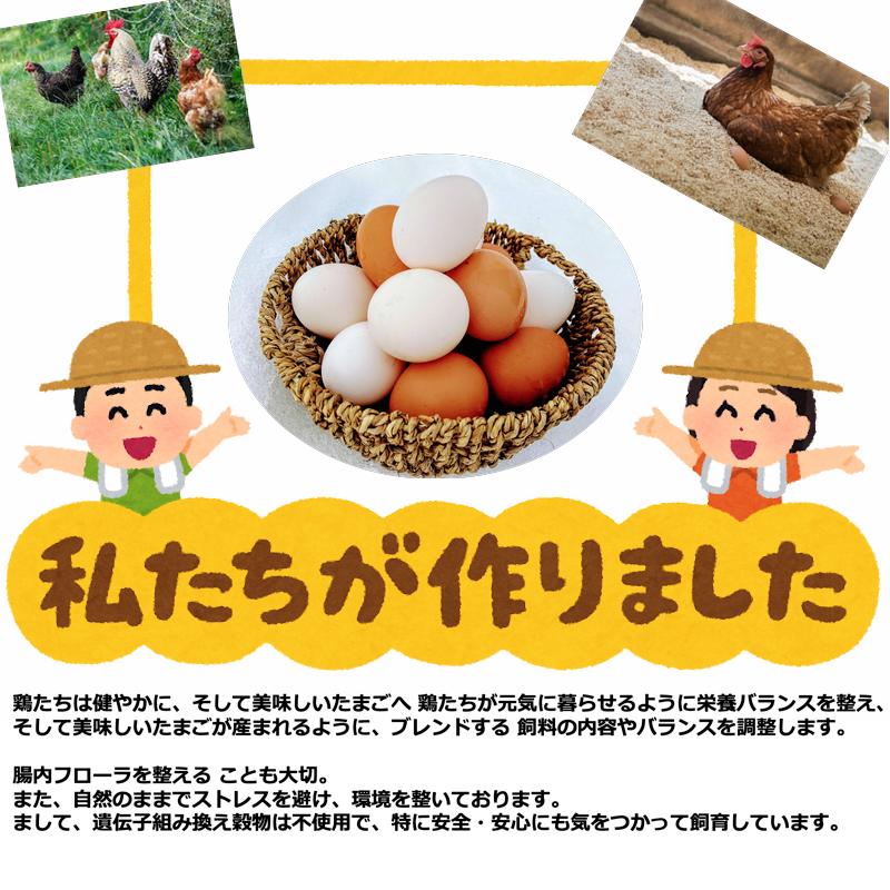 平飼い卵 山形県飯豊町産 １２個（６個入 パック×２パック）産地直送 送料無料