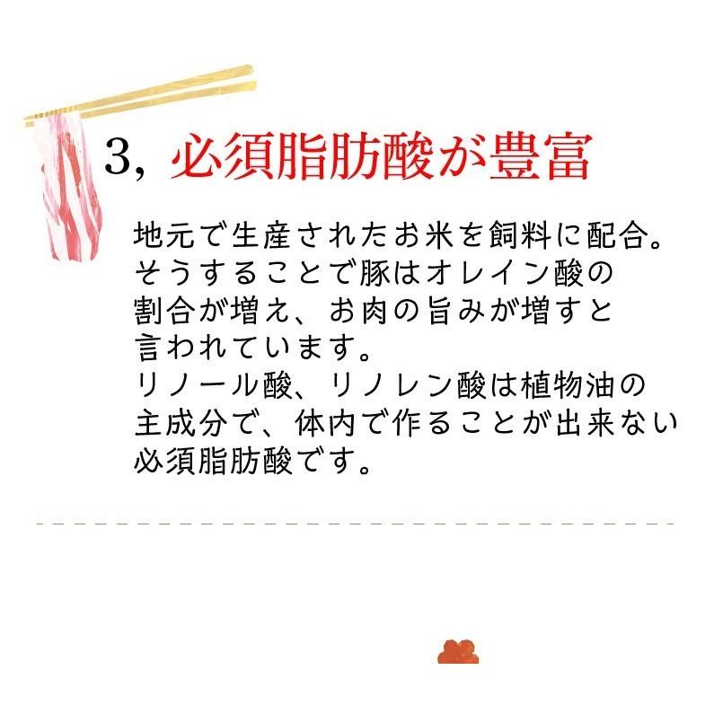 ギフト 宮崎県産きじょん山豚 しゃぶしゃぶ用 肩ロース 1,000g 5人前  ギフト対応可 送料無料 グルメ Y凍