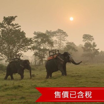 尼泊爾旅遊9日│加德滿都．波卡拉．魚尾峰．奇旺國家公園．班迪普爾-24KTMTG09
