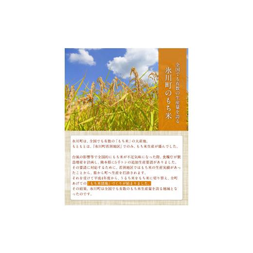 ふるさと納税 熊本県 氷川町 蓮華の花園(もち米) 5kg 精米 JAやつしろカントリー利用組合 熊本県 氷川町《30日以内に順次出荷(土日祝除く)》