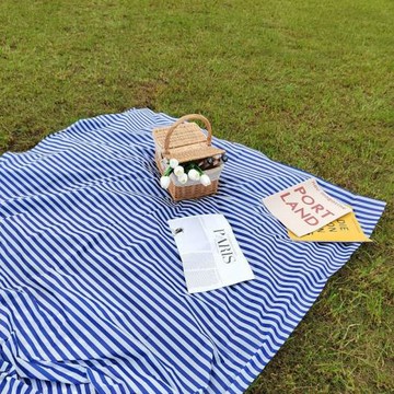 塑料條紋一次性野餐地墊戶外露營野餐墊便攜式沙灘墊防水防沙直銷