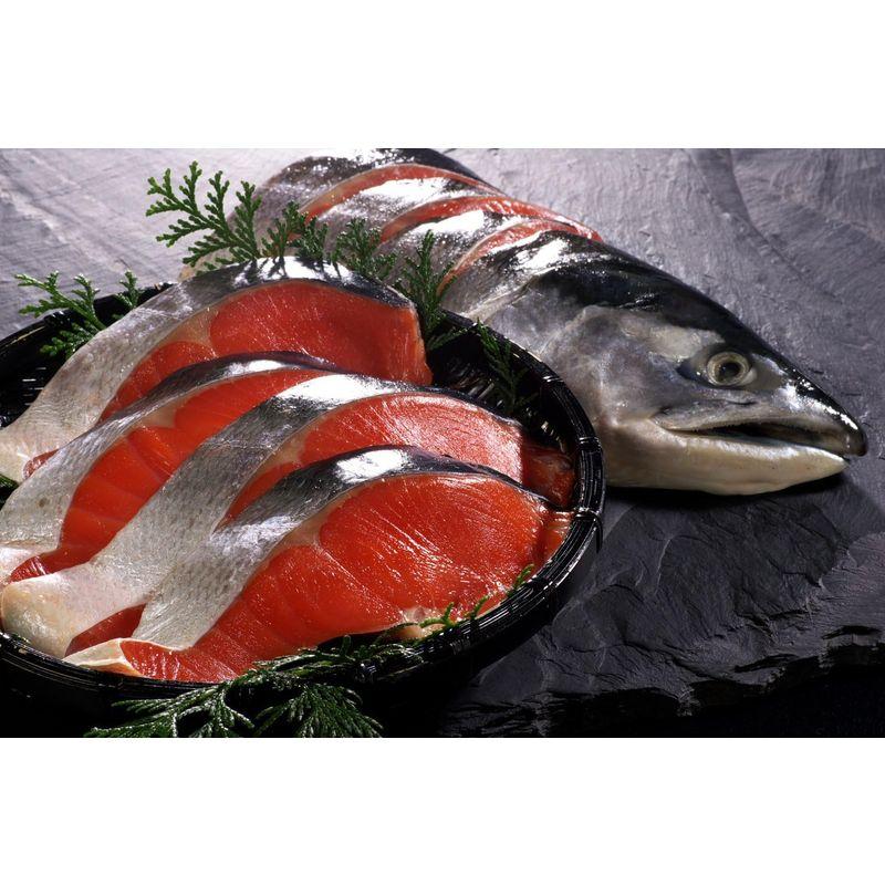 紅鮭 姿切り身 北海道加工 ロシア産 天然 鮭 切り身 (4分割真空)