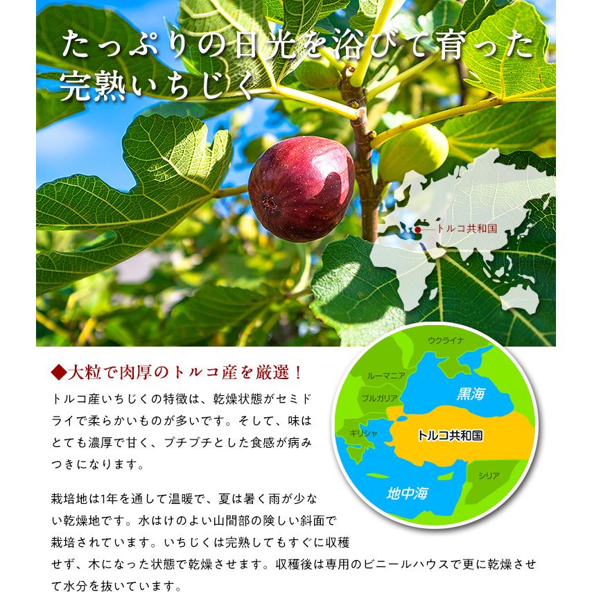 無添加 砂糖不使用 完熟 ドライいちじく 500g イチジク 無花果 フィグ fig