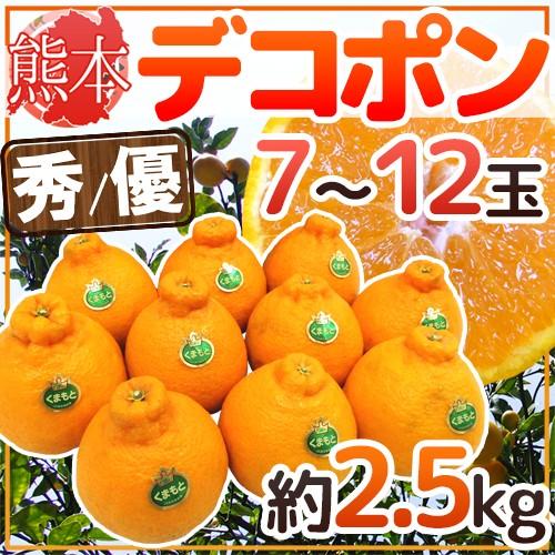 熊本産 ”デコポン” 秀・優品 7〜12玉 約2.5kg 送料無料