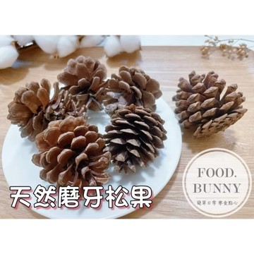 ｜Food bunny｜邦尼食 日常零食系列🥕🐇 好啃磨牙松果 毬果 兔子磨牙 啃咬玩具 兔子 龍貓 天竺鼠 磨牙零食