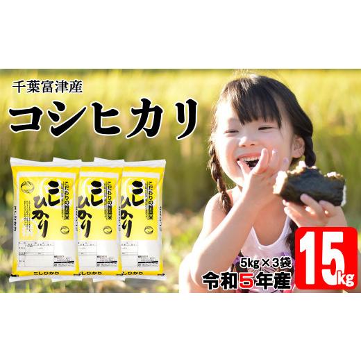 ふるさと納税 千葉県 富津市 令和5年 千葉富津産「コシヒカリ」15kg（5kg×3袋）精米